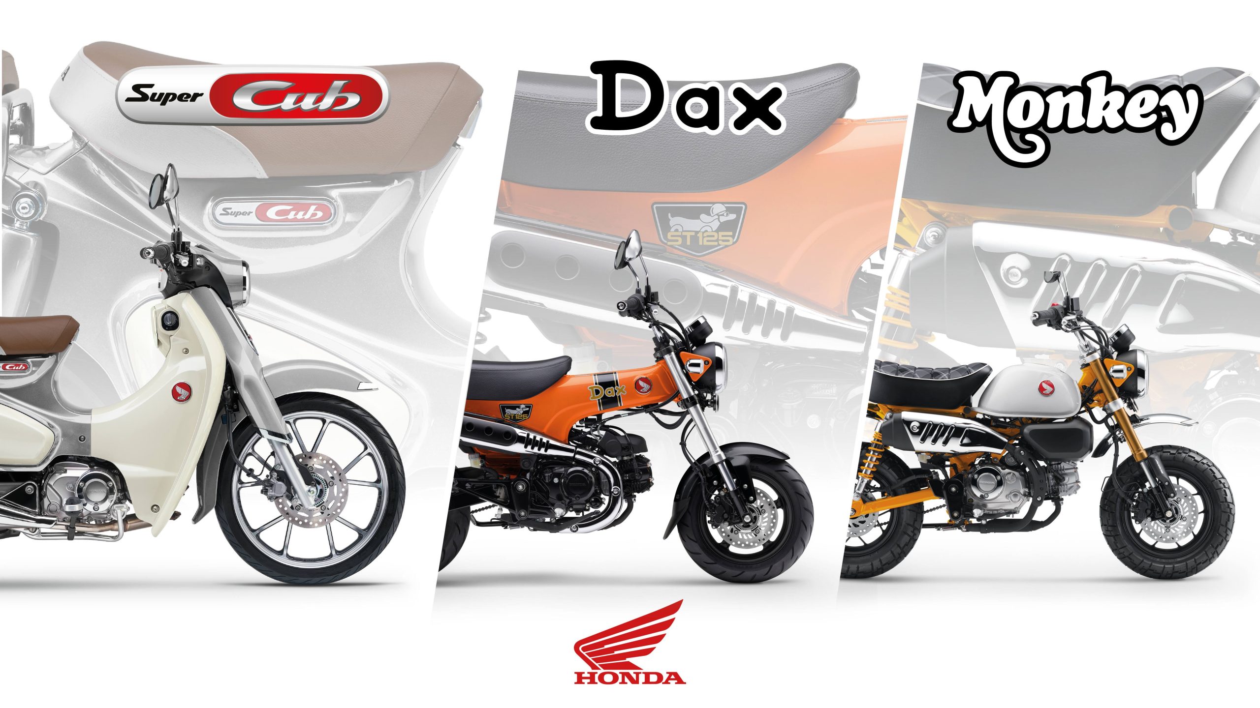 New 2026 Colours For Iconic Monkey 125,  St125 Dax And Super Cub C125